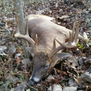 Meet your Posher, Keith